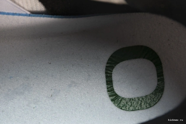 Rep Duckman Jordan Retro Oregon 257-255275 Ducks 4 0712